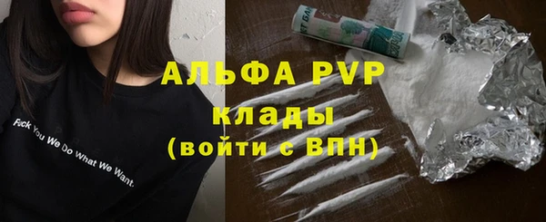 ECSTASY Губаха