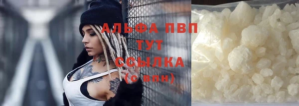 ECSTASY Губаха
