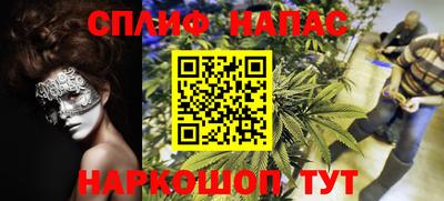 прущие грибы Гусев